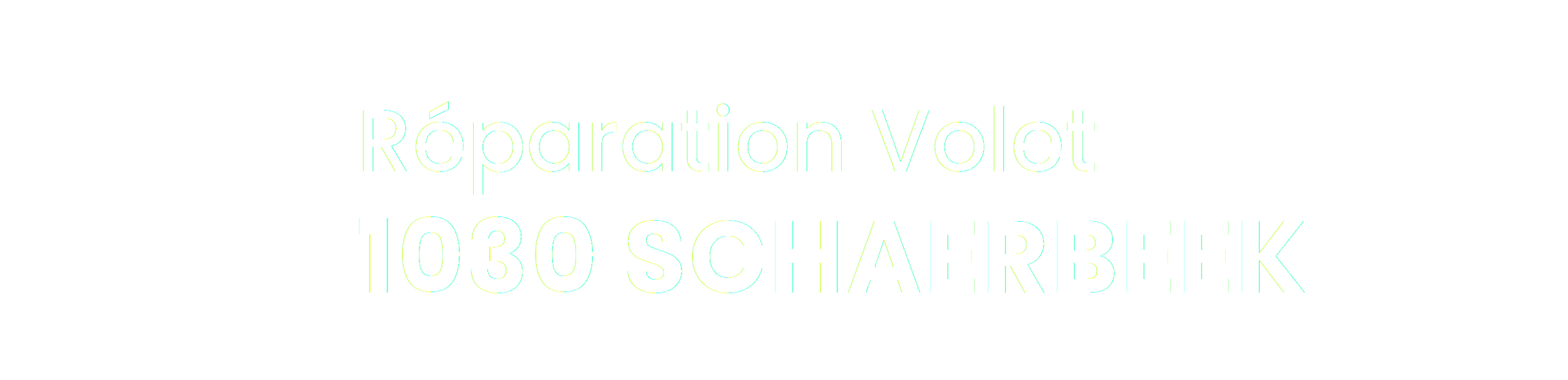 logo-header-blanc-volet-schaerbeek